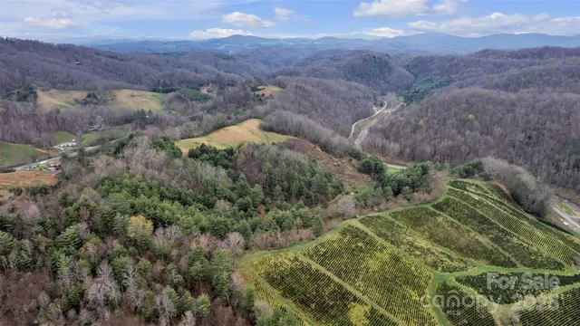 a view of a lush green hillside and a mountain