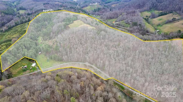 a view of a yard with trees in front of it