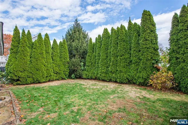 a view of a yard with plants and a trees