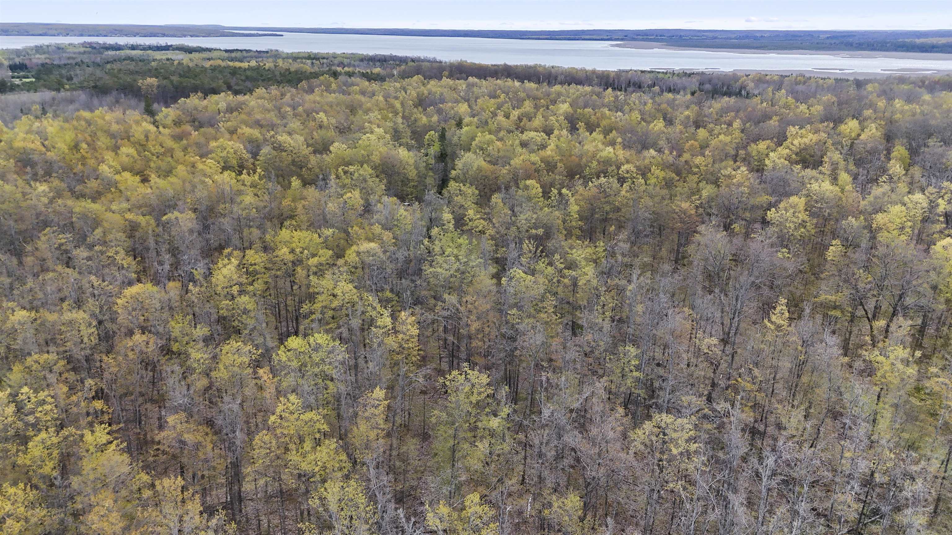 8055 Farrier Road Hillman, MI 49746 - Photo 92 of 96