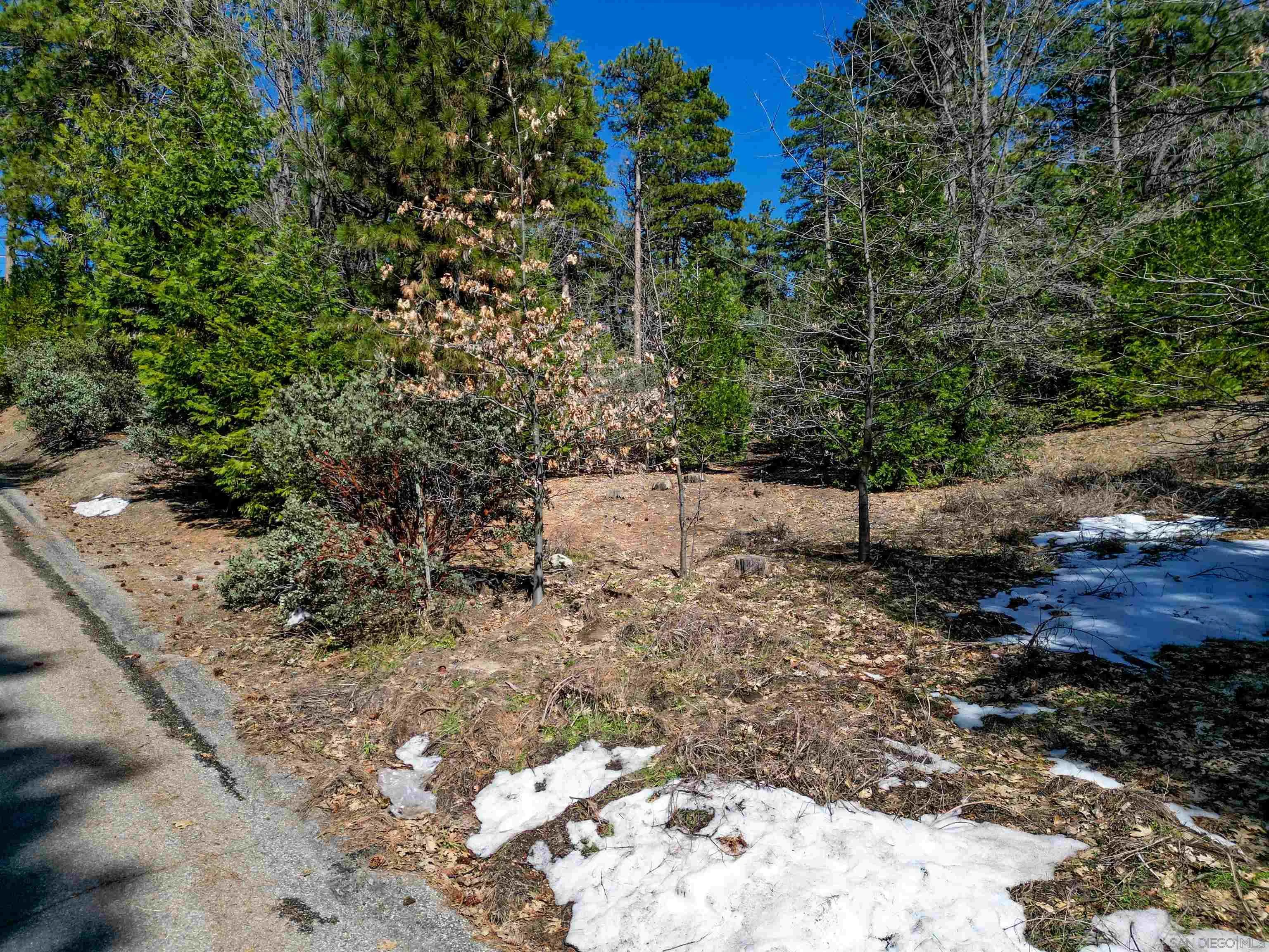 0 Laurel Trail, Unit 8 Anza, CA 92539 - Photo 8 of 12 a view of a yard with plants and trees