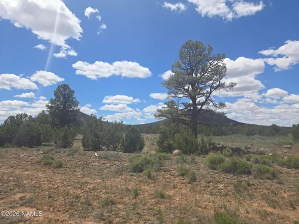 $320,000 | 7434 North Elk Run Trail, Williams, AZ 86046