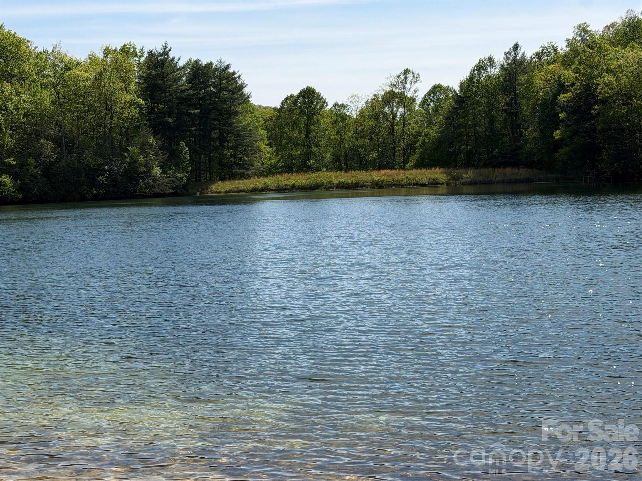 327 Summit Road Tryon, NC 28782 - Photo 47 of 48 Gallery Image 47