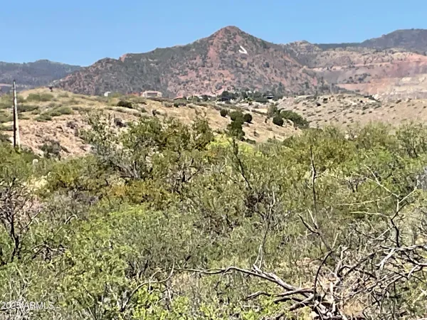 a view of a mountain in the distance