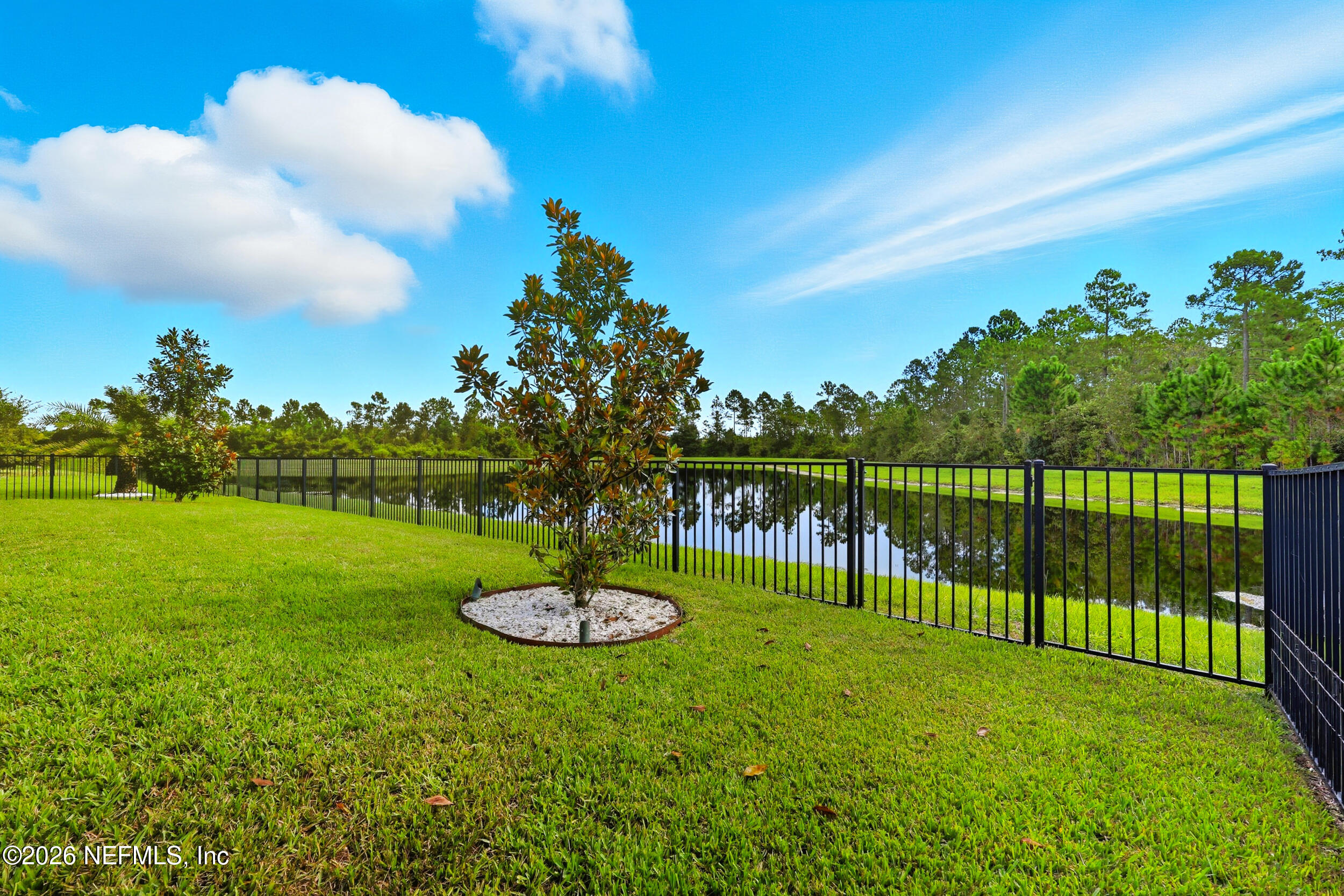 494 Marquesa Circle St. Johns, FL 32259 - Photo 52 of 76 Backyard