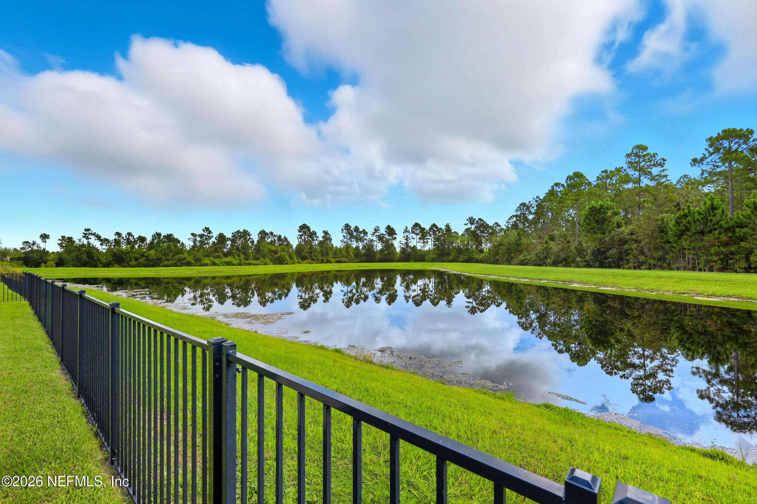 494 Marquesa Circle St. Johns, FL 32259 - Photo 54 of 76 View from pond to preserve