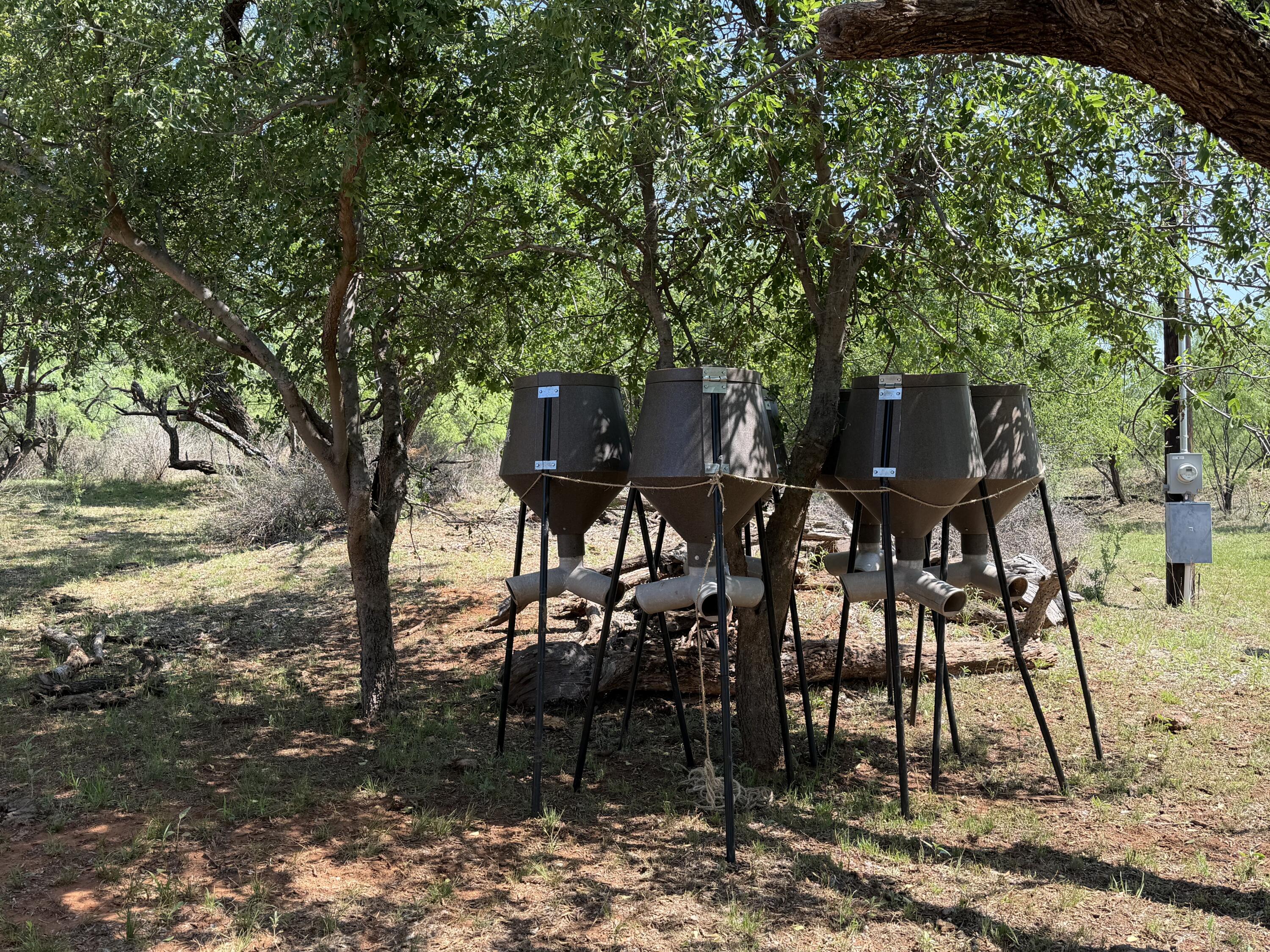 92 Texas Hamlin, TX 79520 - Photo 60 of 63 IMG_1859