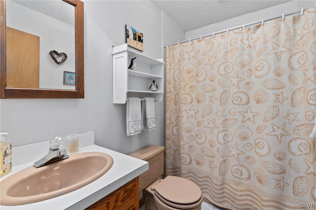 3215 Cherry Ridge Road Bushkill, PA 18324 - Photo 39 of 50 a bathroom with a sink a toilet and shower curtain