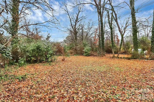 a view of road and covered with snow