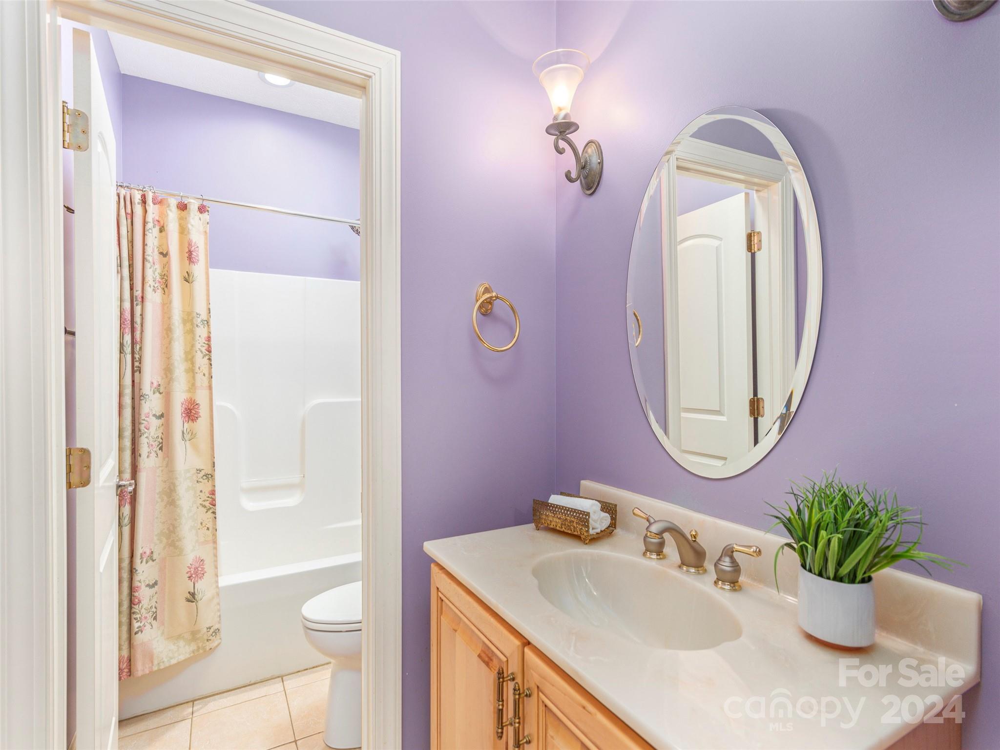 4113 Beaverdam Road Canton, NC 28716 - Photo 21 of 44 a bathroom with a granite countertop sink a mirror and a shower
