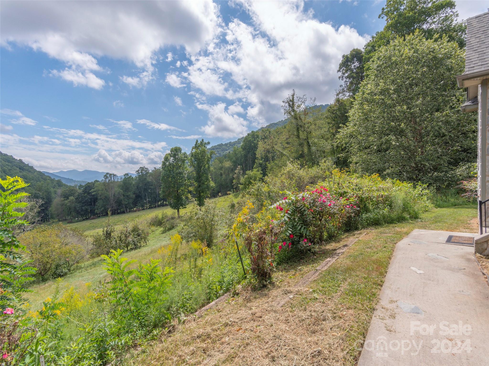 4113 Beaverdam Road Canton, NC 28716 - Photo 37 of 44 a view of a pathway with a yard