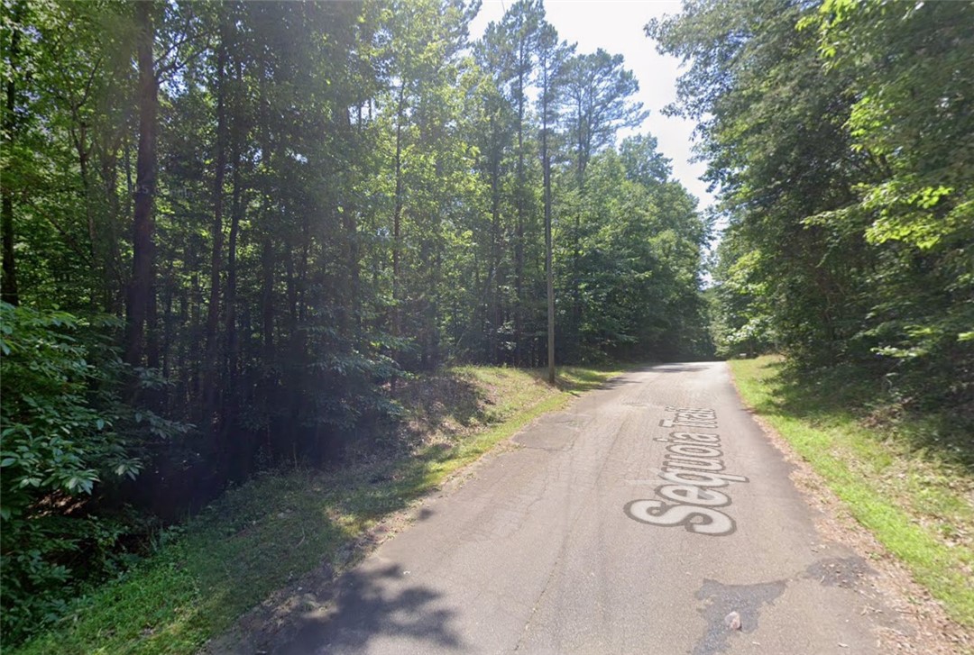 651 Sequoia Trail Westminster, SC 29693 - Photo 23 of 24 A tranquil, tree-lined road invites peaceful country living amidst lush woodland.