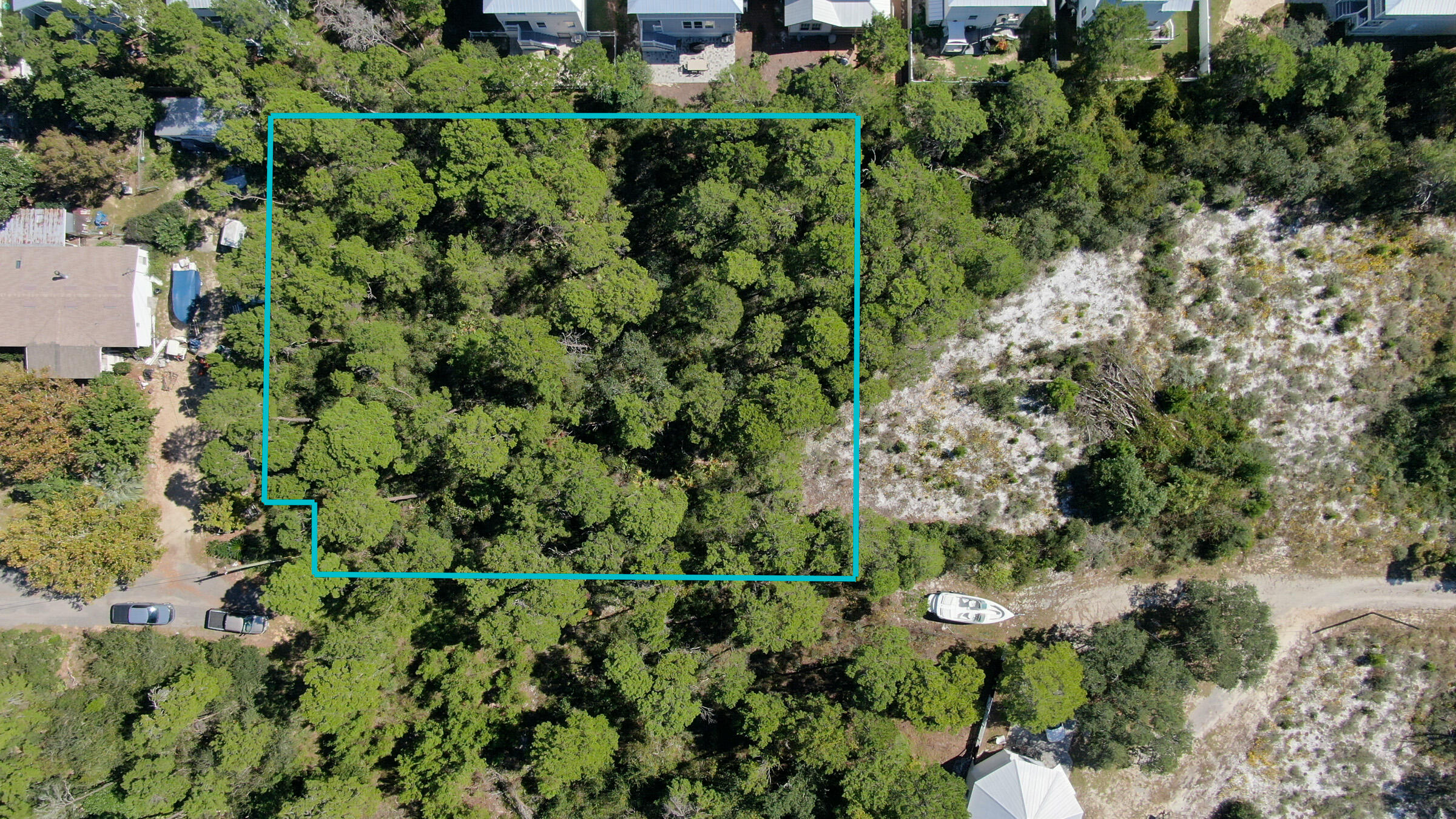 6 Sharlene Ln Inlet Beach Inlet Beach, FL 32461 - Photo 15 of 26 a view of a garden with a tree