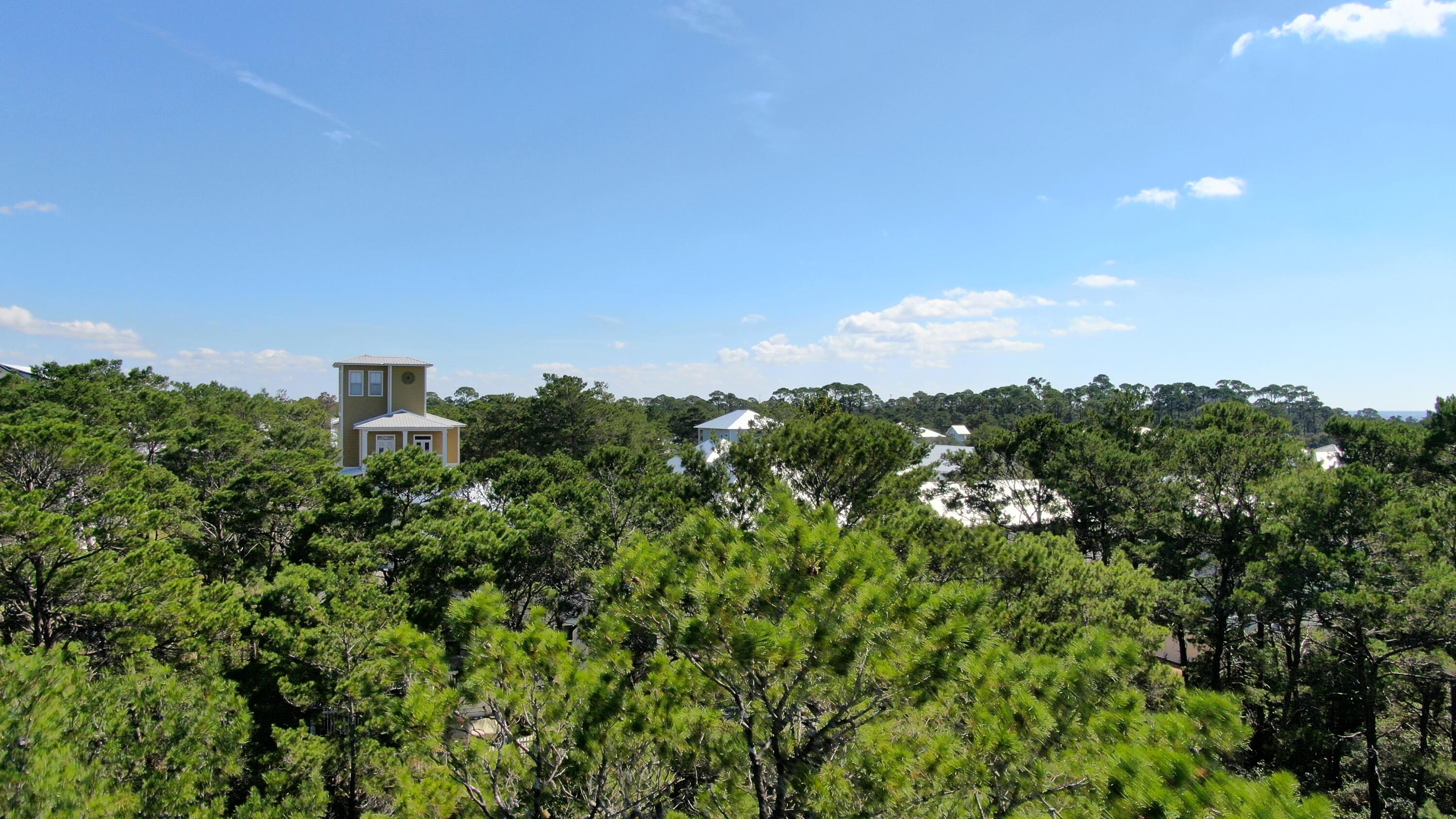 6 Sharlene Ln Inlet Beach Inlet Beach, FL 32461 - Photo 19 of 26 a view of a city