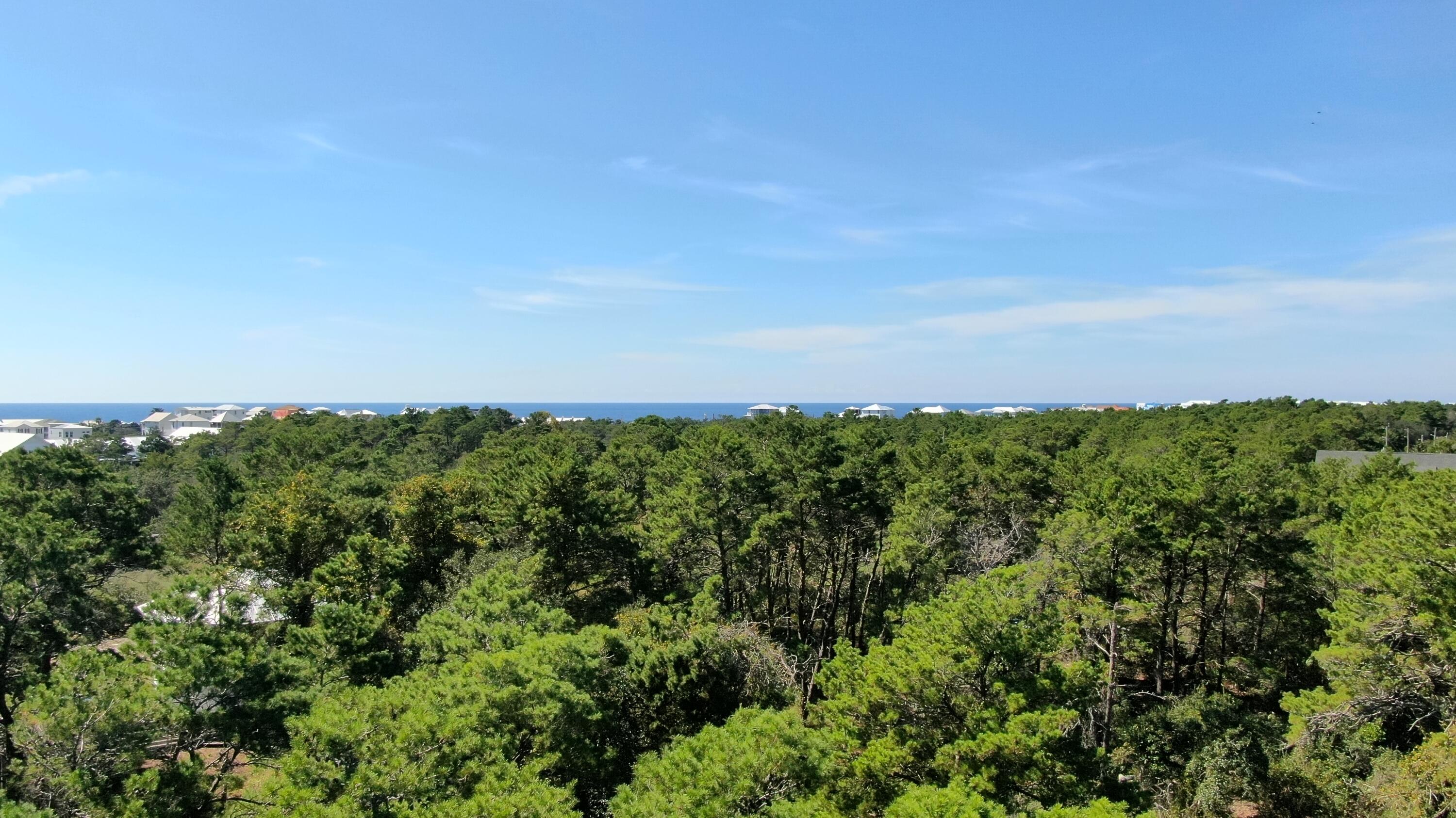 6 Sharlene Ln Inlet Beach Inlet Beach, FL 32461 - Photo 20 of 26 view of a bunch of trees