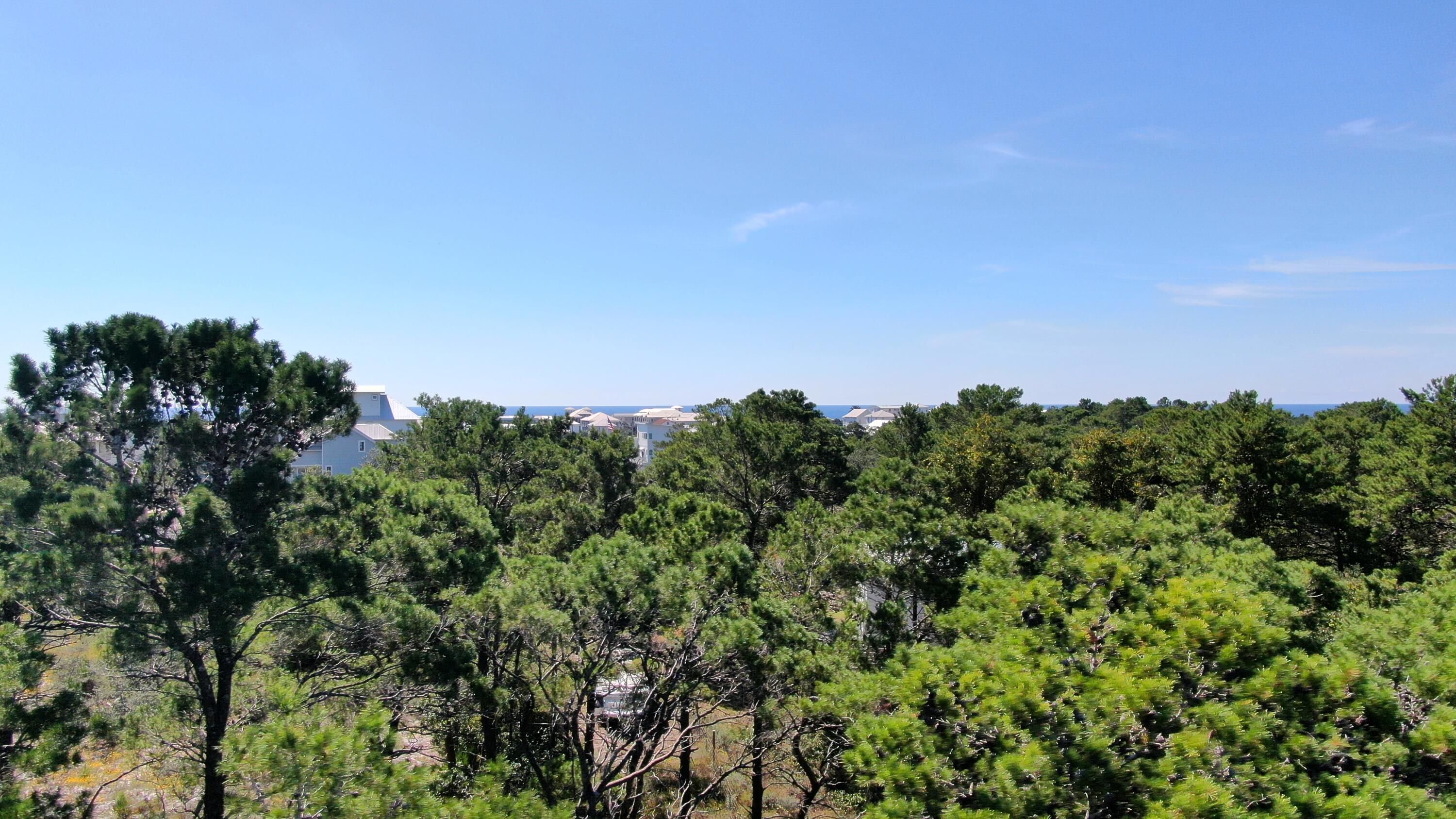 6 Sharlene Ln Inlet Beach Inlet Beach, FL 32461 - Photo 24 of 26 a view of a forest with a tree in the background