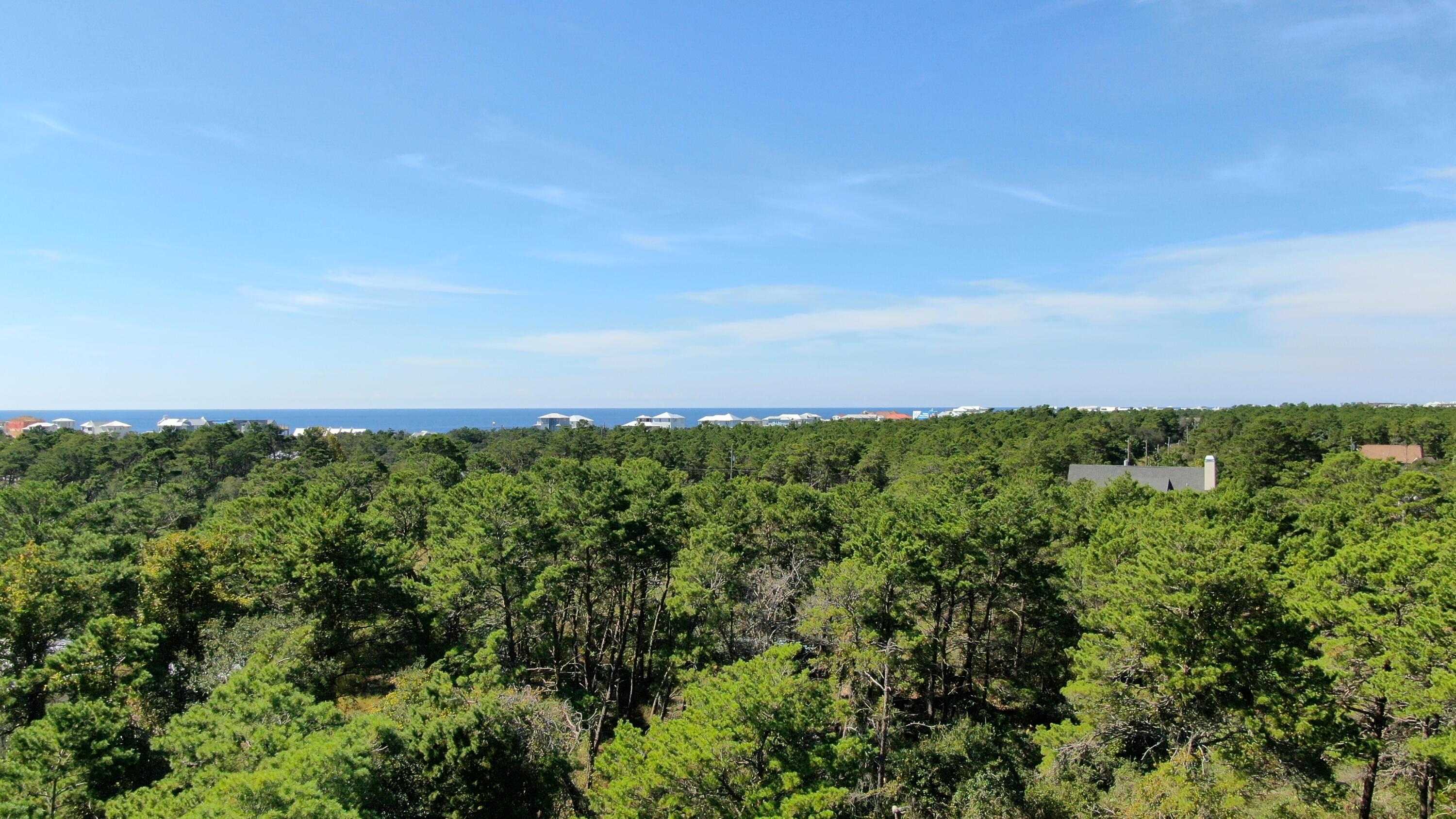 6 Sharlene Ln Inlet Beach Inlet Beach, FL 32461 - Photo 6 of 26 a view of a large yard with lots of green space
