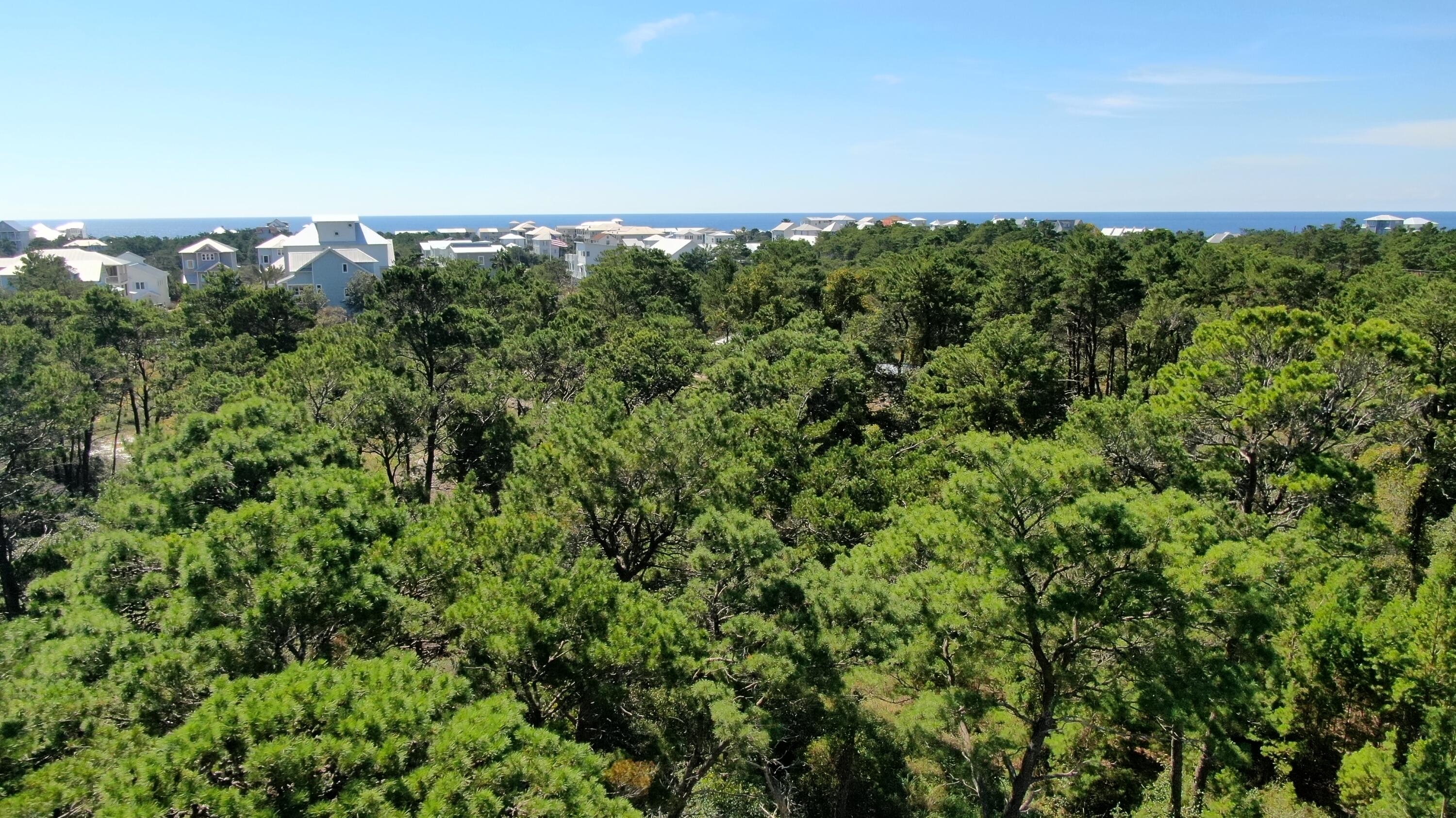 6 Sharlene Ln Inlet Beach Inlet Beach, FL 32461 - Photo 9 of 26