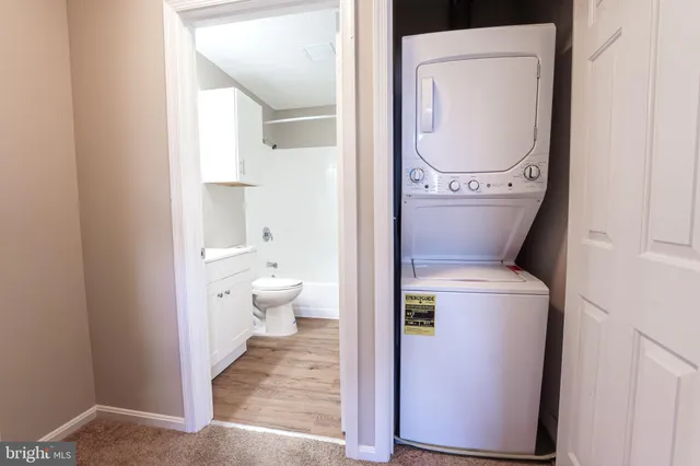 a view of bathroom with a toilet and a rug