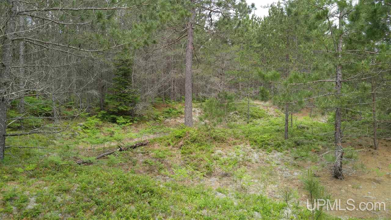 13.44-acres Stutts Road Manistique, MI 49854 - Photo 10 of 19