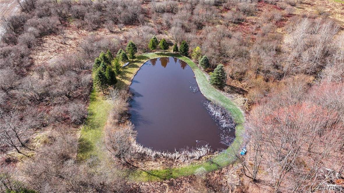 1185 Minkel Road Sheldon, NY 14145 - Photo 11 of 20