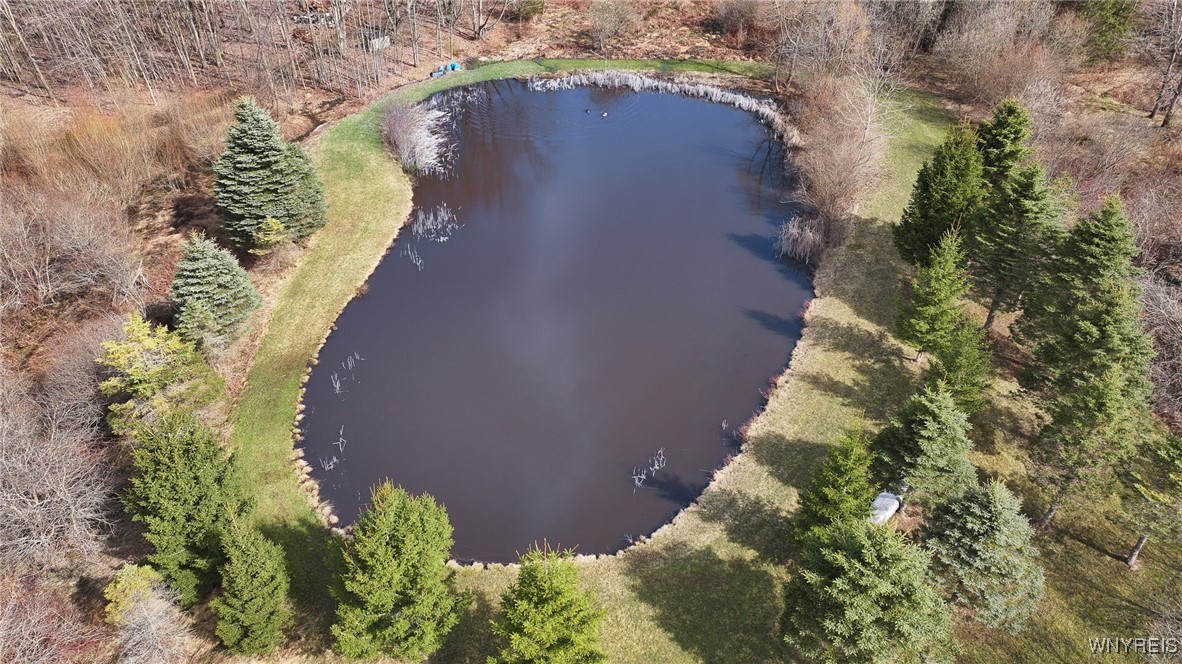 1185 Minkel Road Sheldon, NY 14145 - Photo 12 of 20