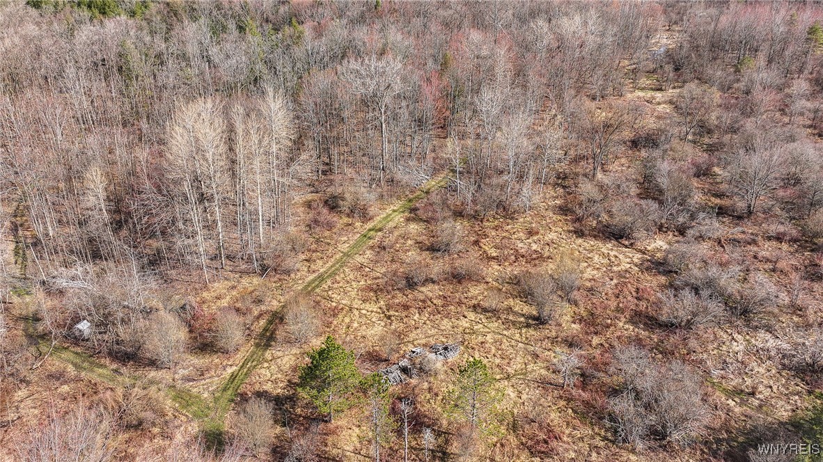 1185 Minkel Road Sheldon, NY 14145 - Photo 19 of 20