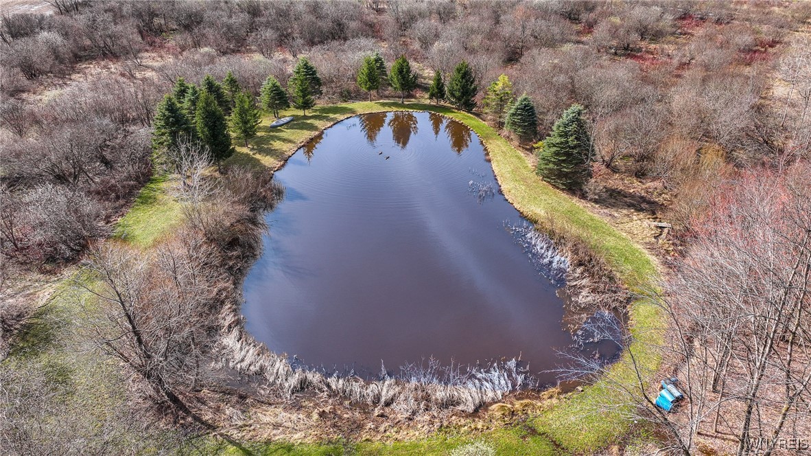 1185 Minkel Road Sheldon, NY 14145 - Photo 9 of 20