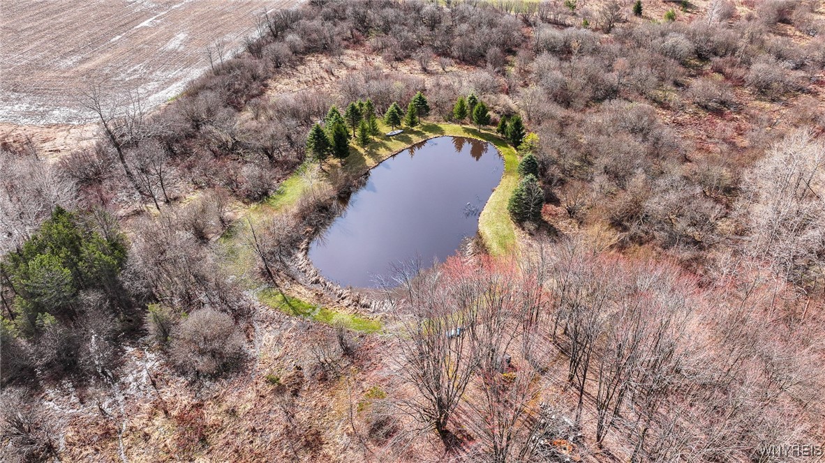 1185 Minkel Road Sheldon, NY 14145 - Photo 10 of 20