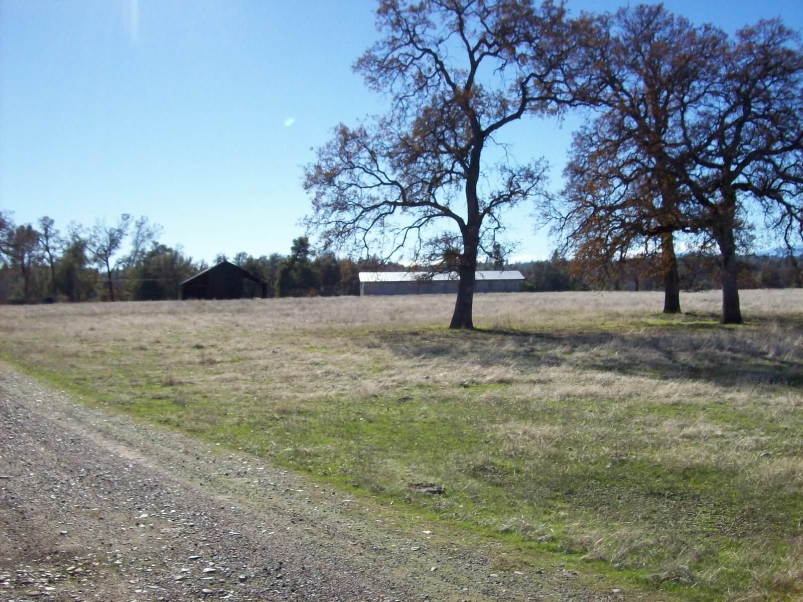 15631 Gas Point Road Cottonwood, CA 96022 - Photo 54 of 59 Driveway
