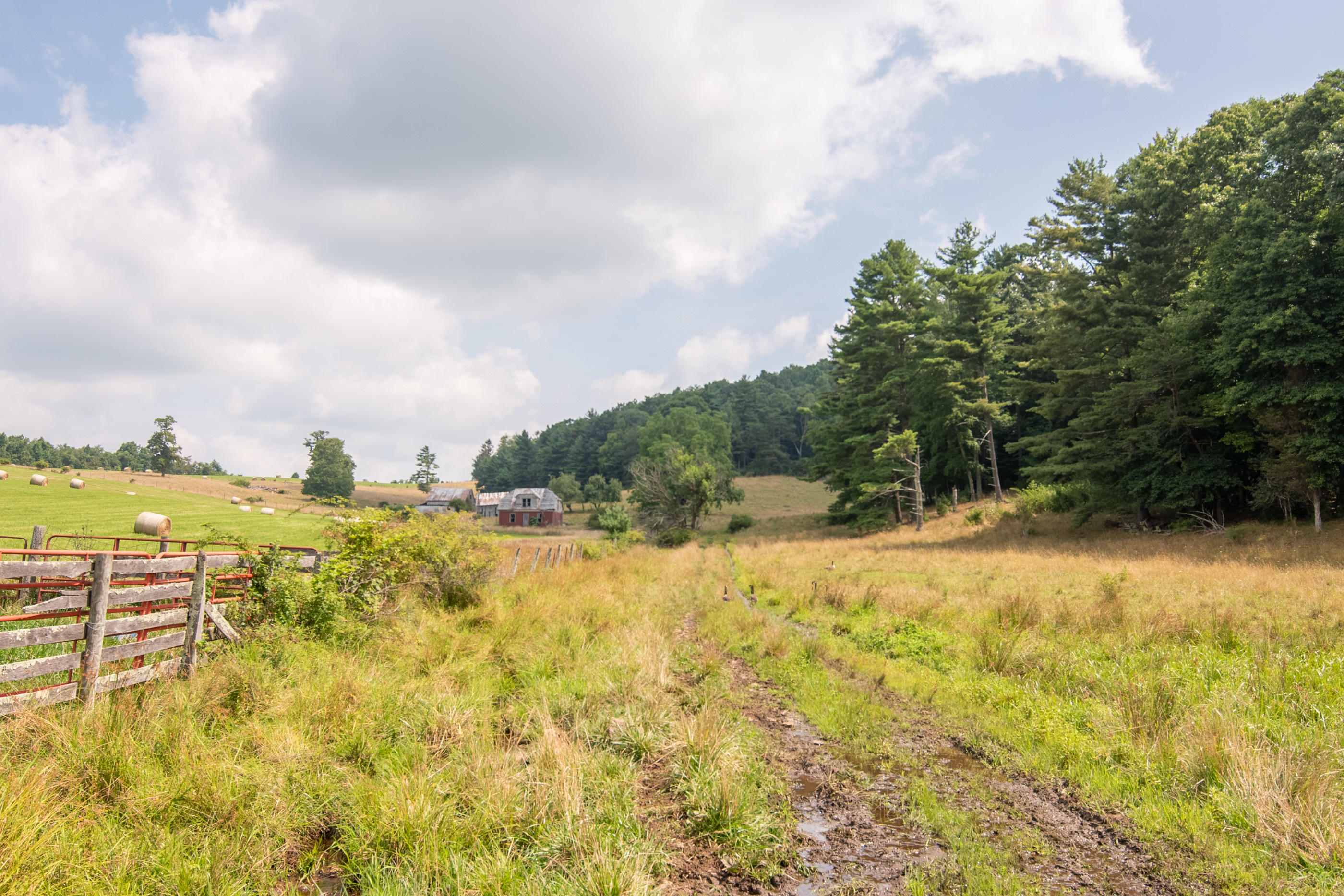 767 Kyle Weeks Road Southwest Willis, VA 24380 - Photo 16 of 86 DSC_8694-HDR