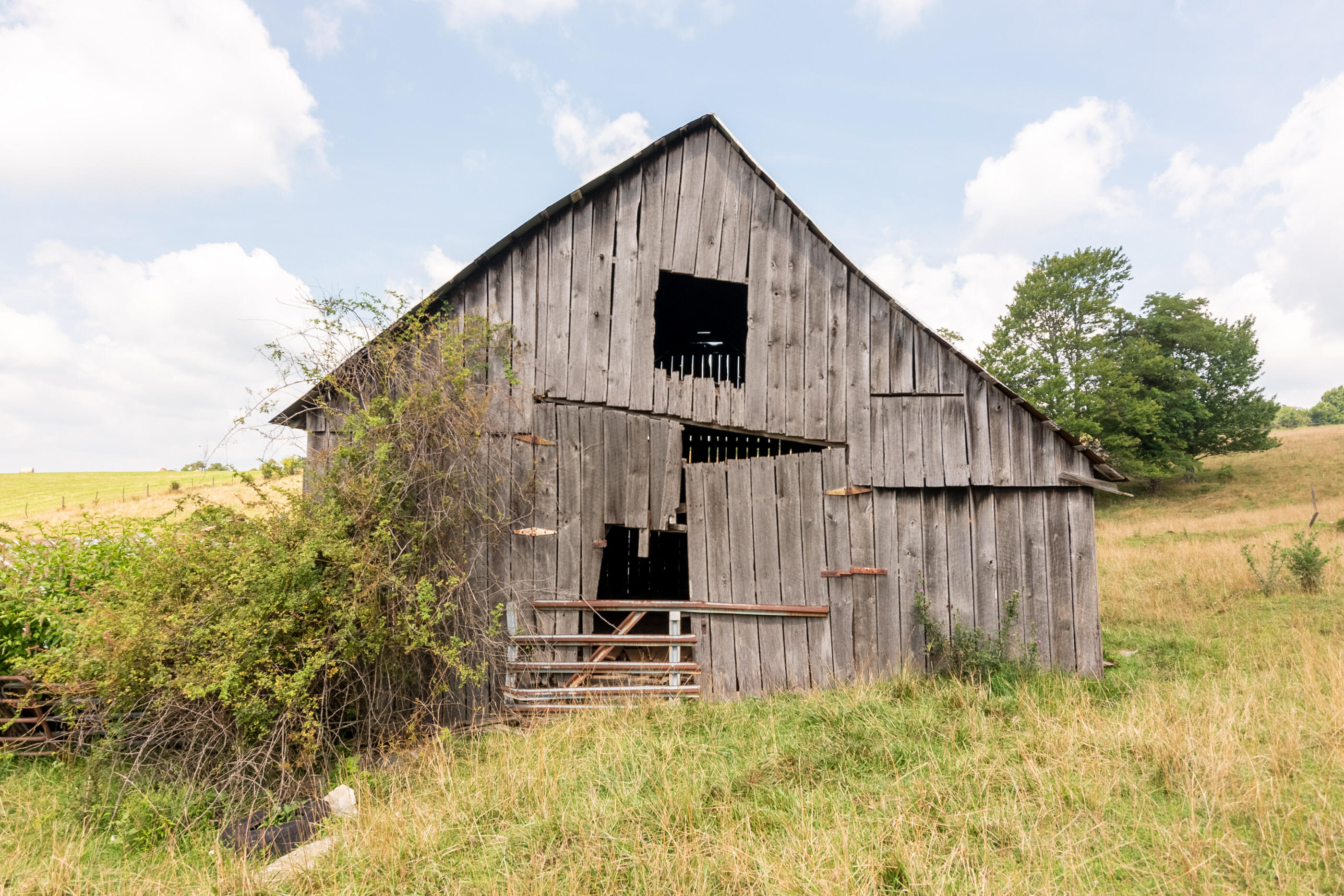 767 Kyle Weeks Road Southwest Willis, VA 24380 - Photo 24 of 86 DSC_8745-HDR