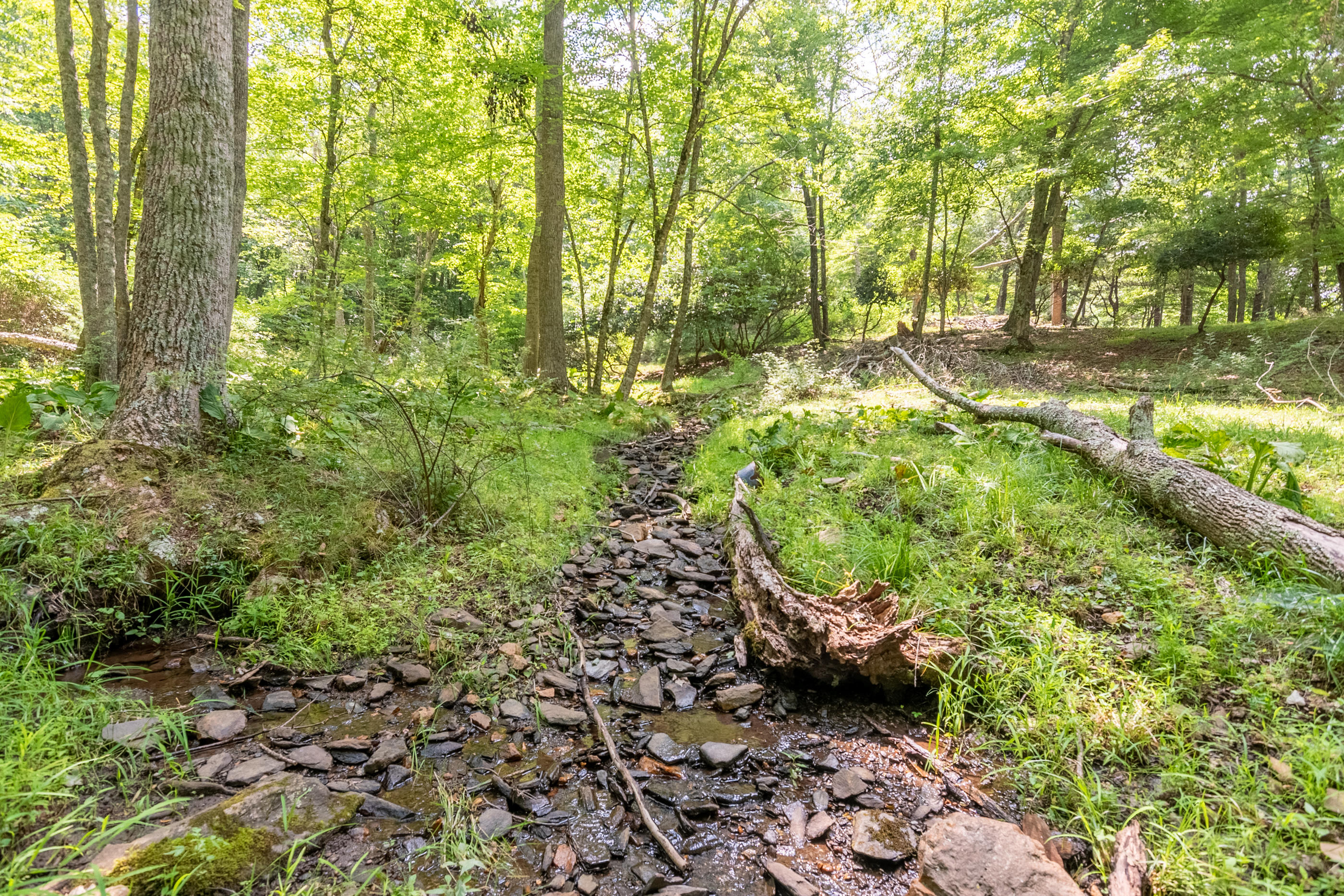 767 Kyle Weeks Road Southwest Willis, VA 24380 - Photo 26 of 86 DSC_8775-HDR