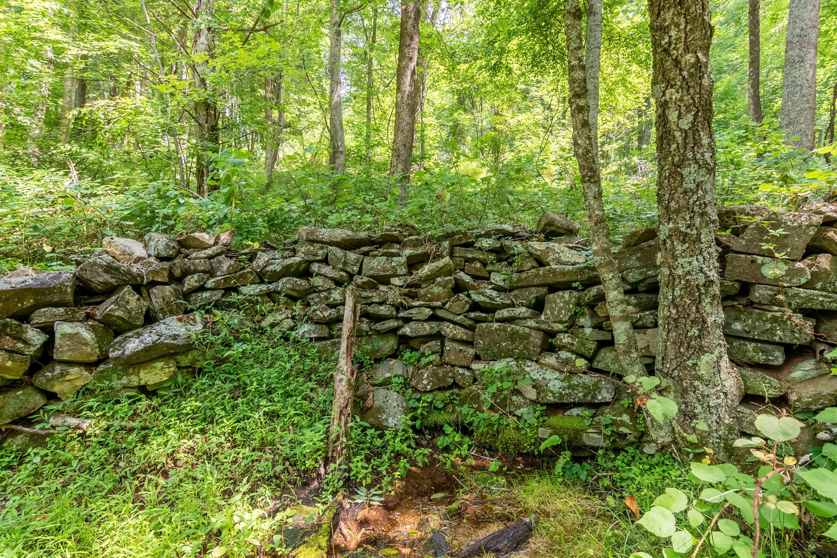 767 Kyle Weeks Road Southwest Willis, VA 24380 - Photo 29 of 86 DSC_8786-HDR