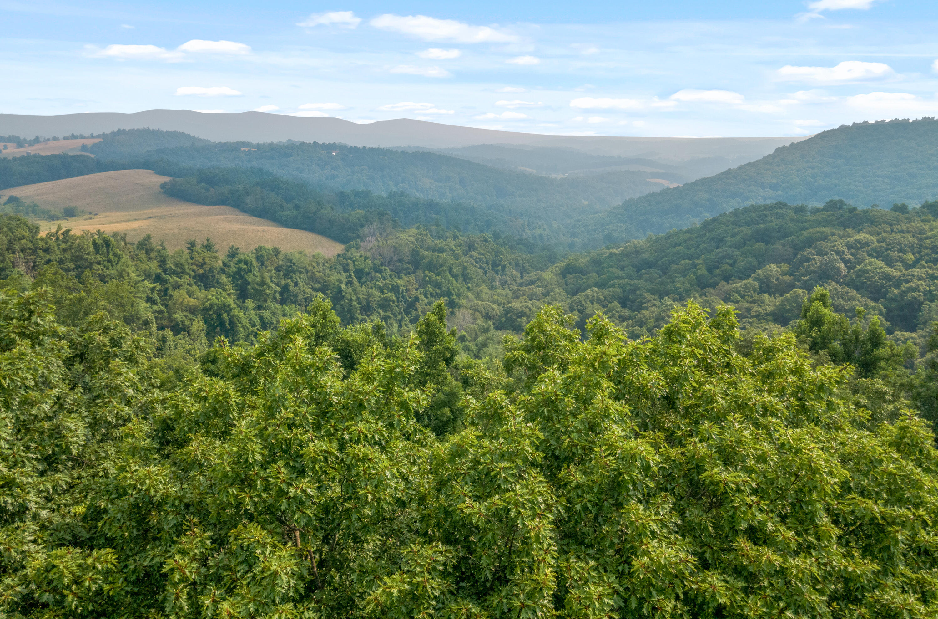767 Kyle Weeks Road Southwest Willis, VA 24380 - Photo 33 of 86 a view of a mountain range with lush green forest