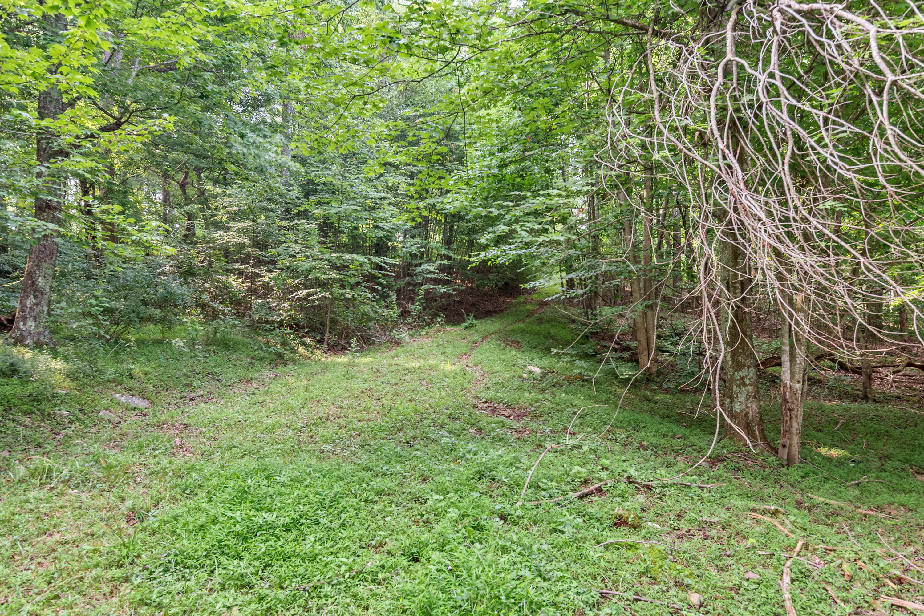 767 Kyle Weeks Road Southwest Willis, VA 24380 - Photo 79 of 86 DSC_5616