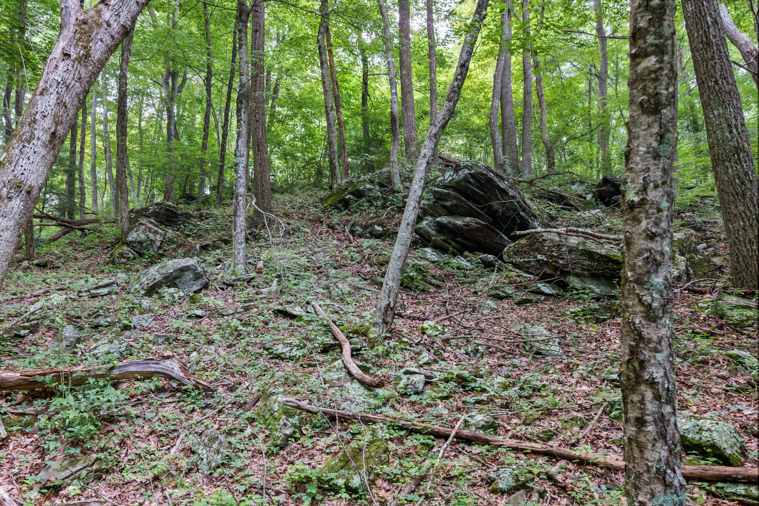 767 Kyle Weeks Road Southwest Willis, VA 24380 - Photo 85 of 86 a view of outdoor space and green space
