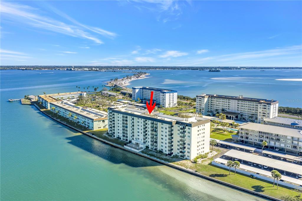 9 Haig Place, Unit 510 Dunedin, FL 34698 - Photo 33 of 33