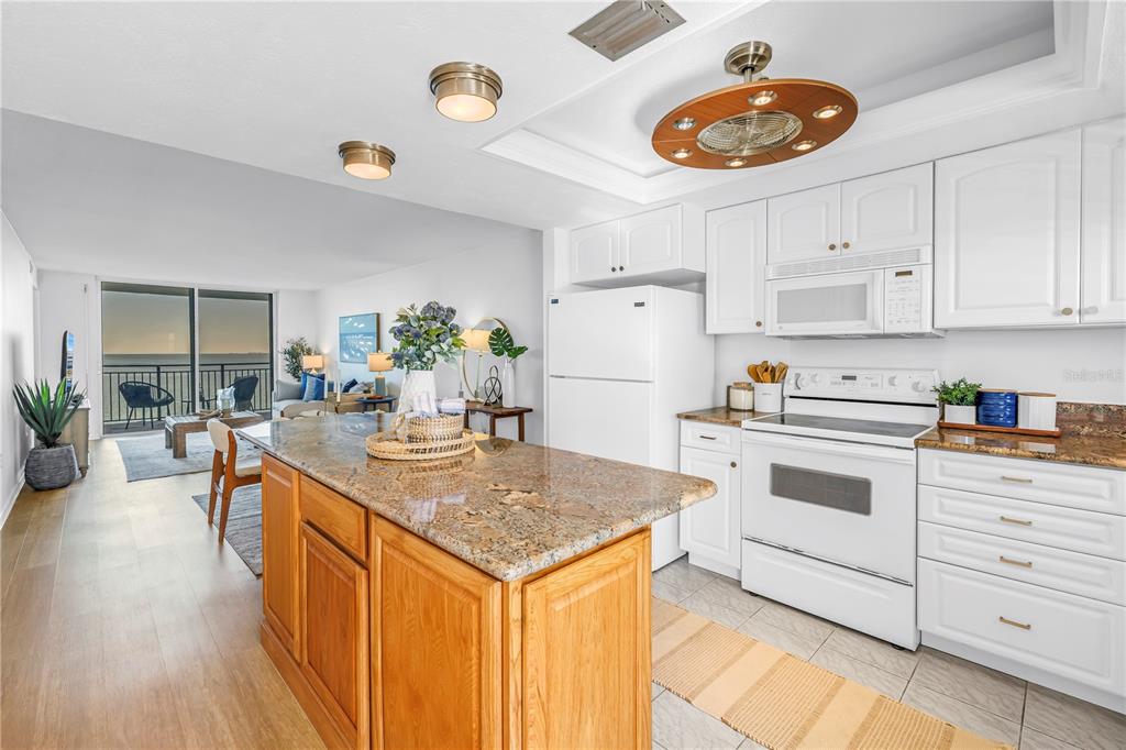 9 Haig Place, Unit 510 Dunedin, FL 34698 - Photo 5 of 33