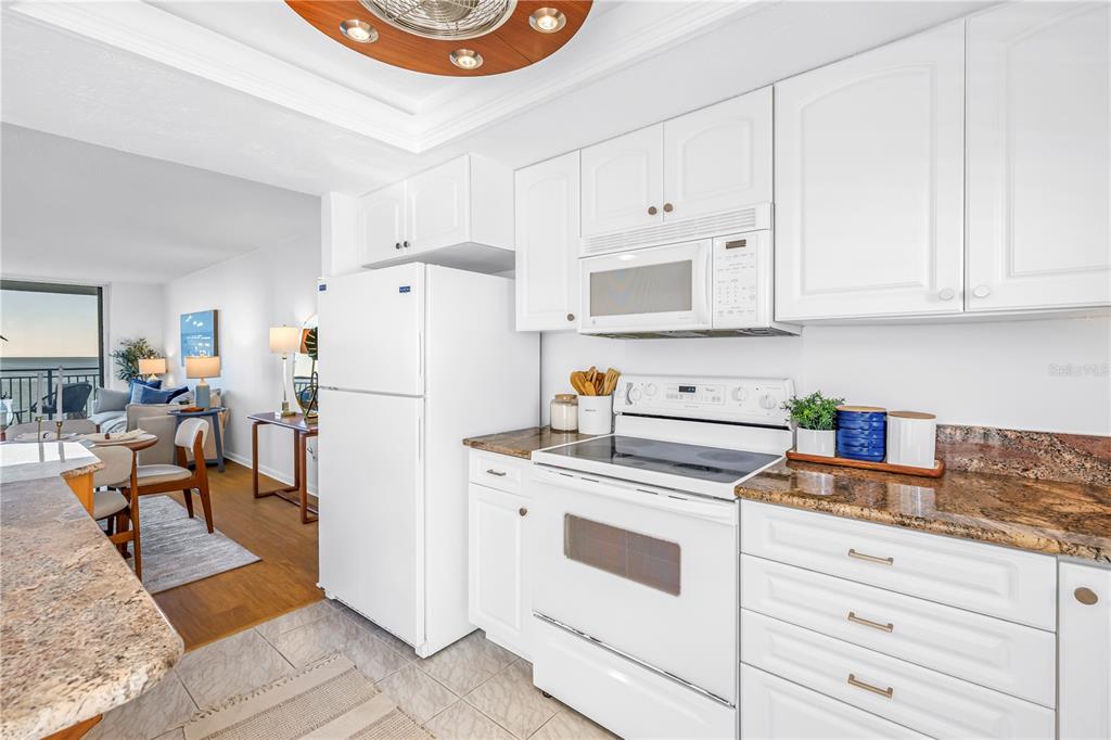 9 Haig Place, Unit 510 Dunedin, FL 34698 - Photo 7 of 33