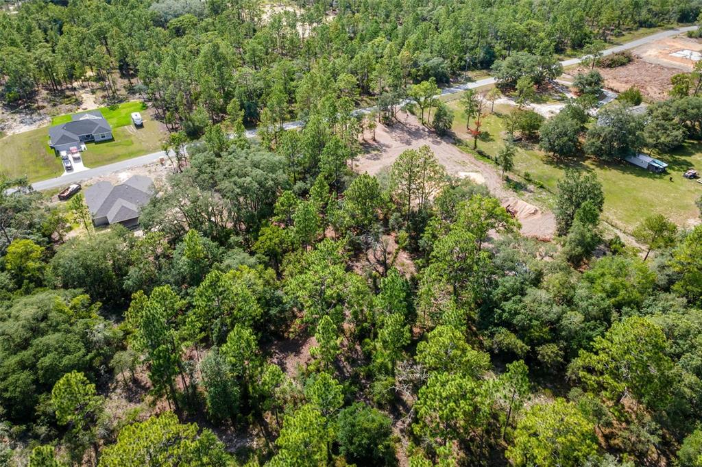 Southwest Viola Court Dunnellon, FL 34431 - Photo 9 of 9