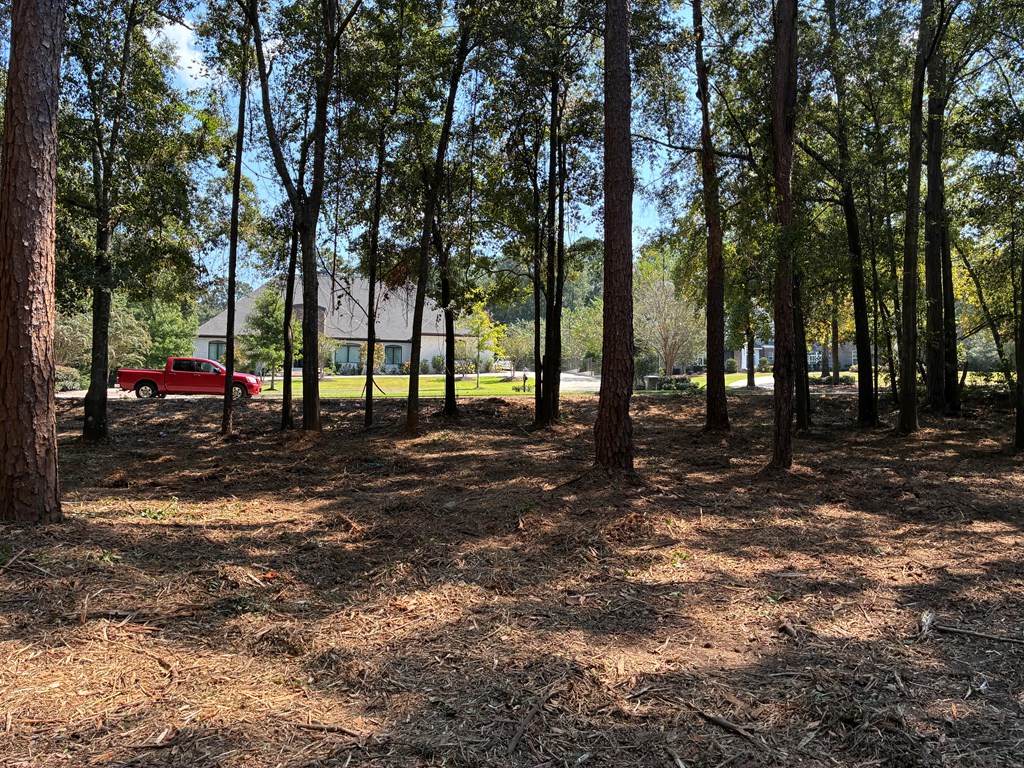 Lot 3 Hampton Way Dothan, AL 36305 - Photo 6 of 11