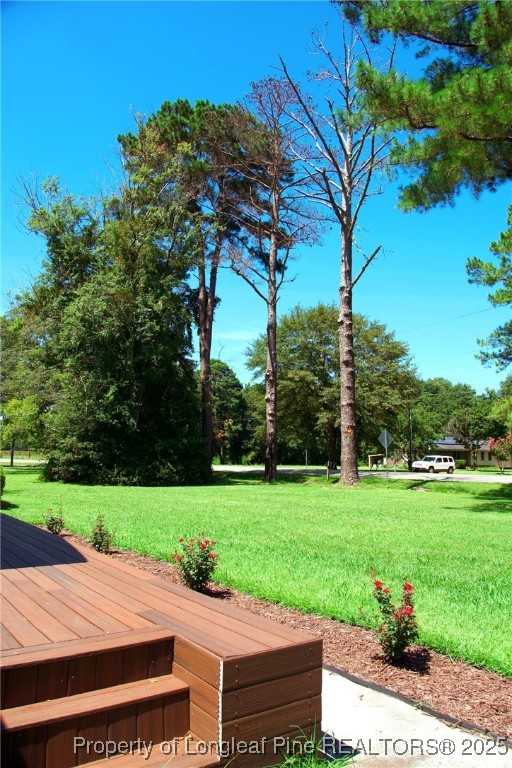309 Cornith Road Pembroke, NC 28372 - Photo 5 of 40 a view of a patio with a yard