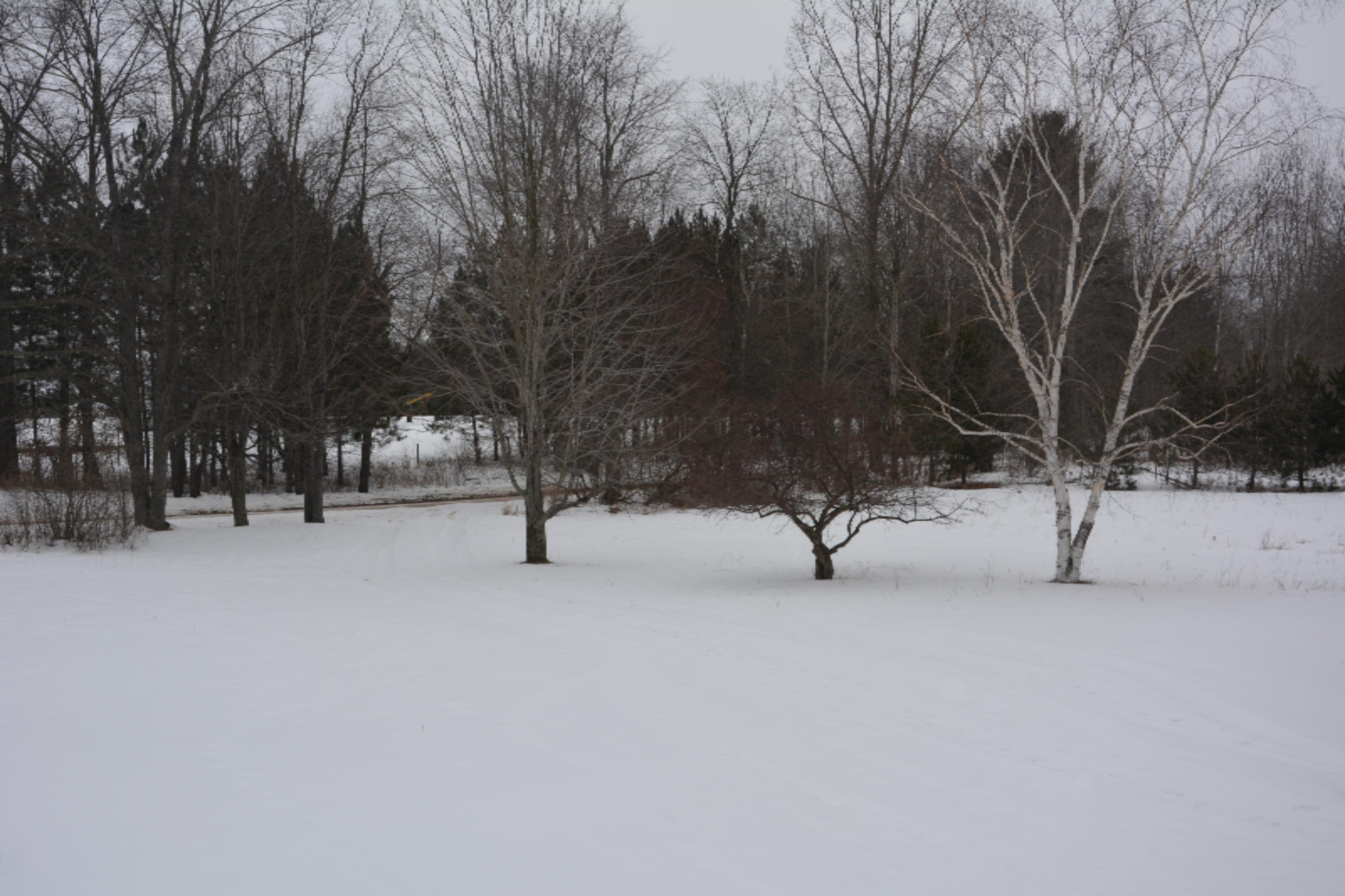 8630 15 Mile Road Paris, MI 49338 - Photo 1 of 6 DSC_0170