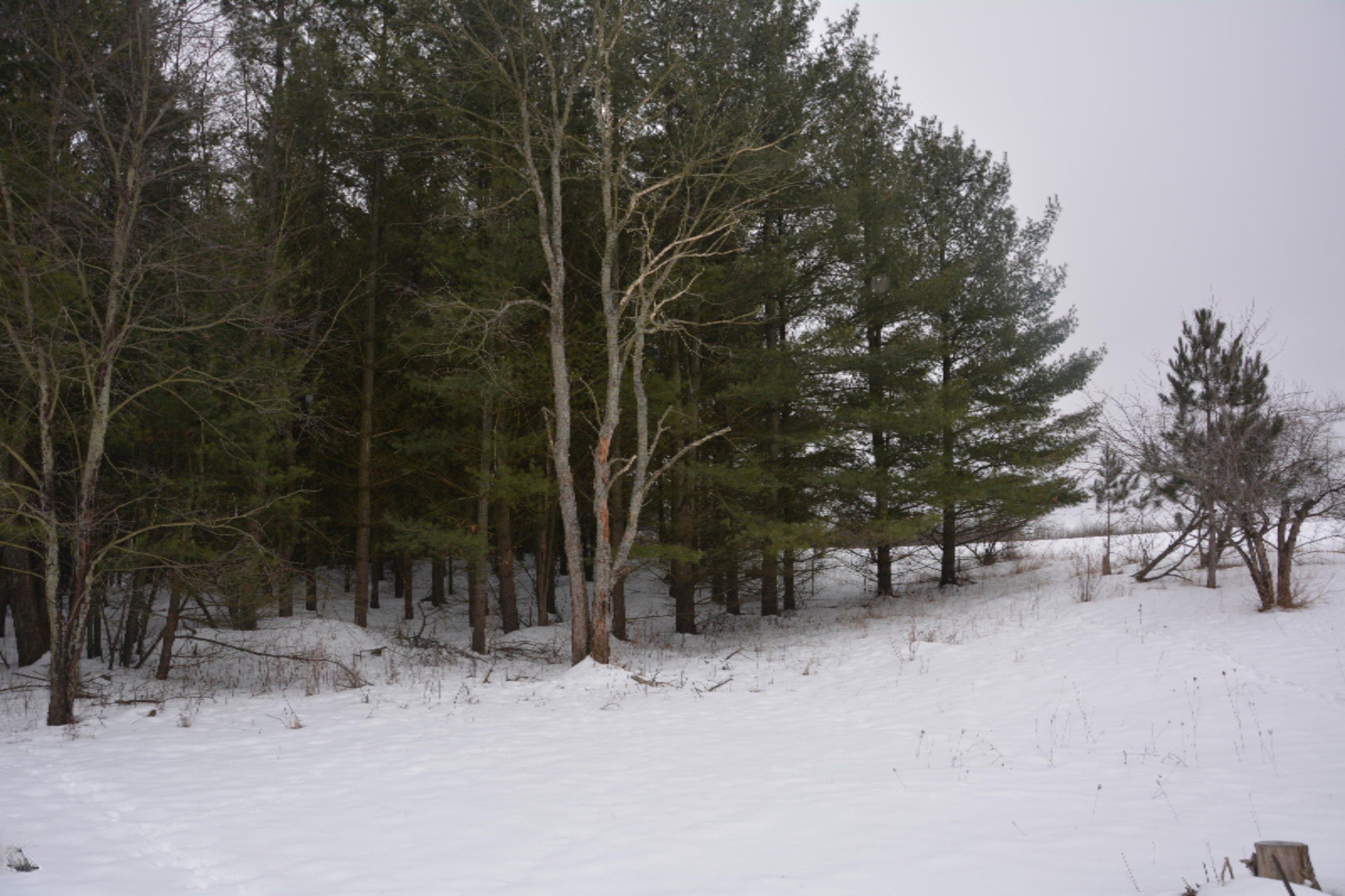 8630 15 Mile Road Paris, MI 49338 - Photo 3 of 6 DSC_0172