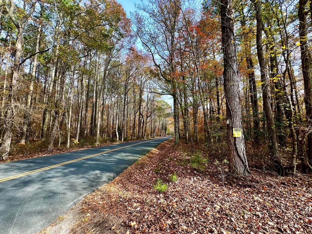 Lot 11 Pungoteague Road, Unit 11 Melfa, VA 23410 - Photo 2 of 7