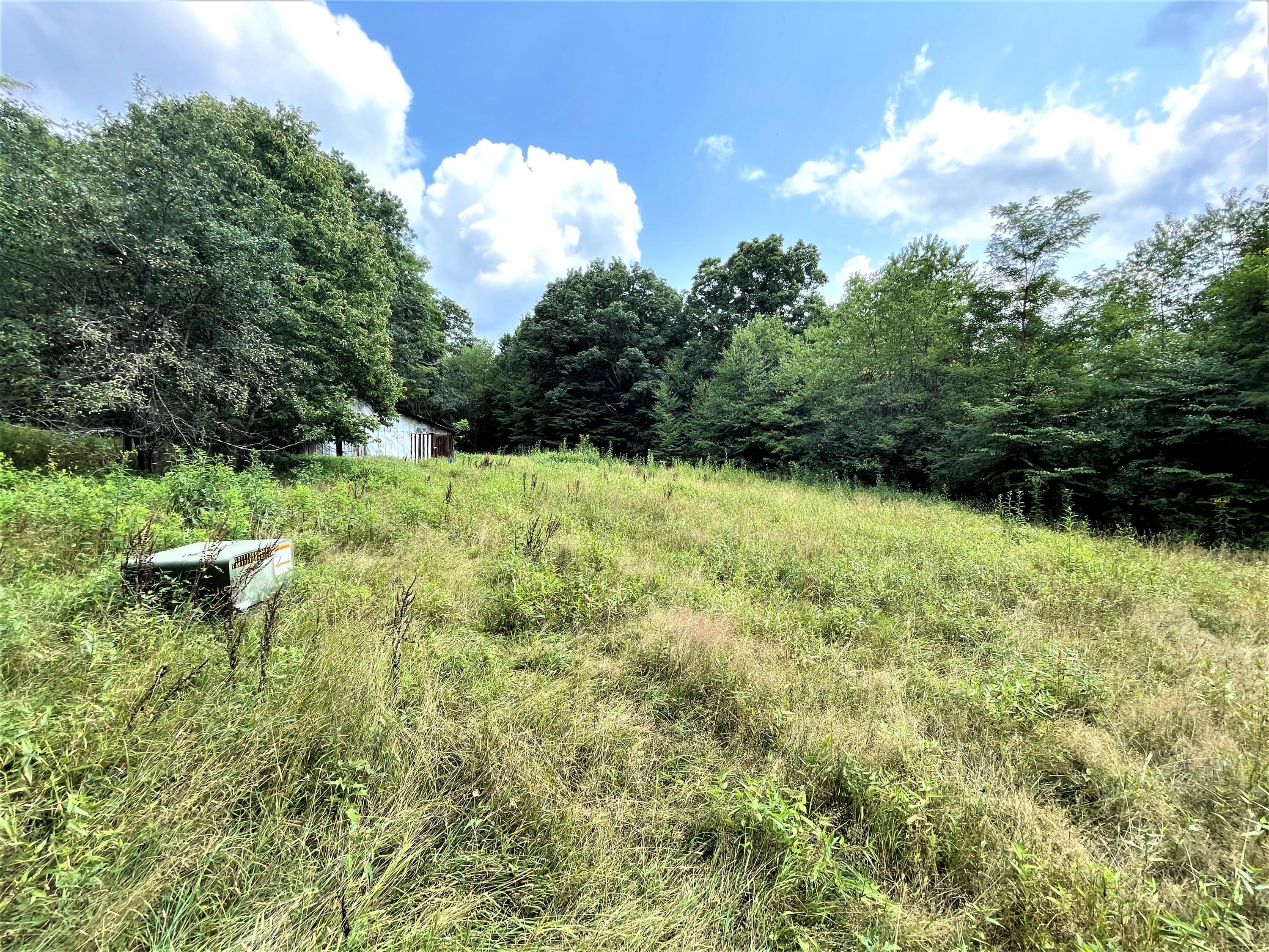 4601 Lobelia Road Hillsboro, WV 24946 - Photo 11 of 14 Gallery Image 11