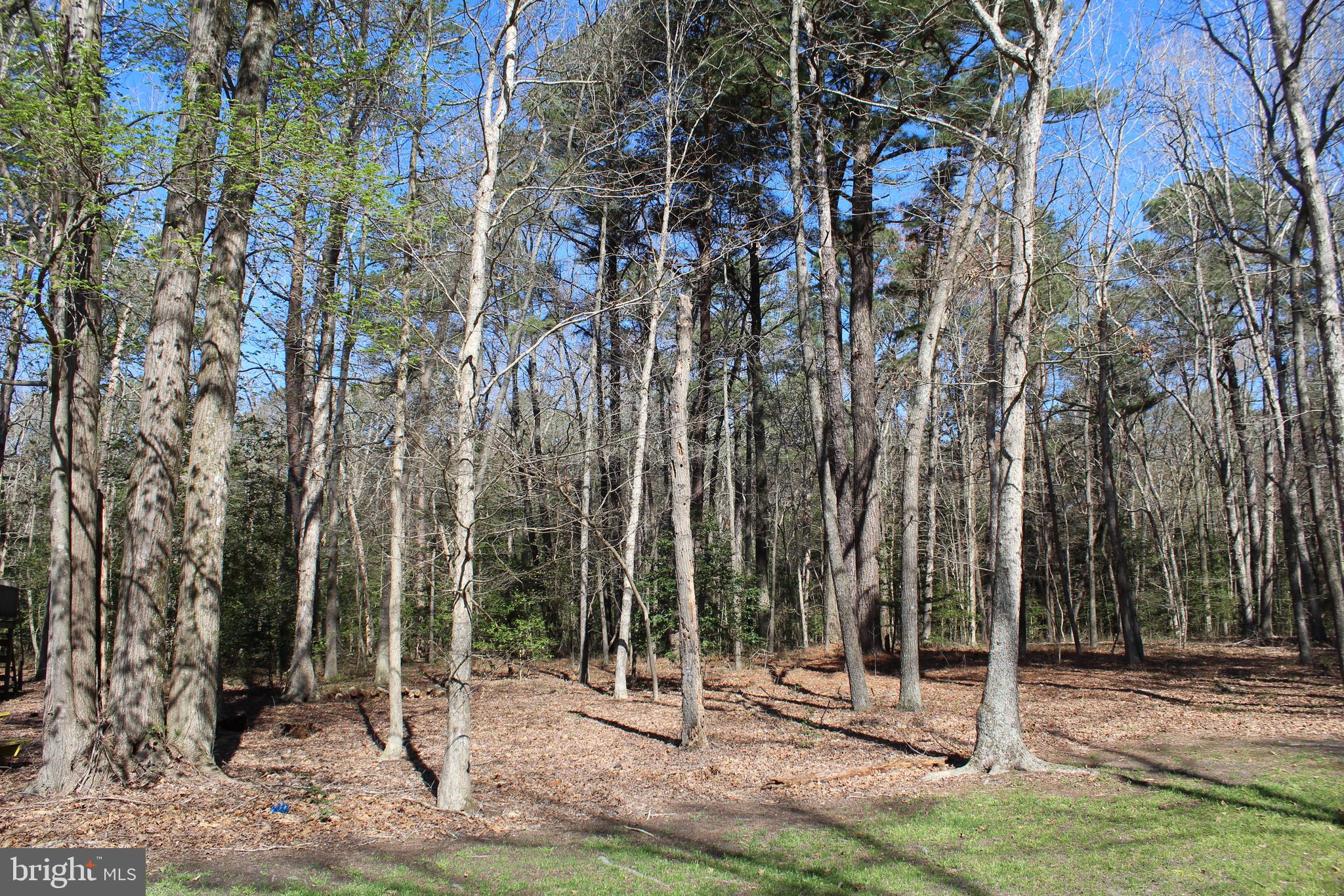26570 Quantico Creek Road Hebron, MD 21830 - Photo 41 of 45 Gallery Image 41
