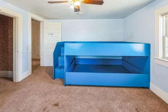 a view of a yard with trees