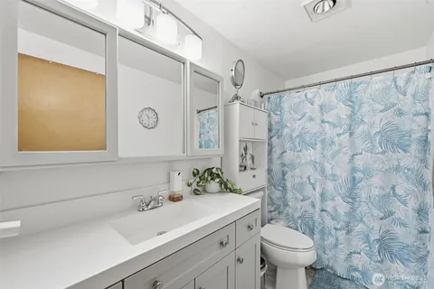 a bathroom with a sink a toilet and a mirror